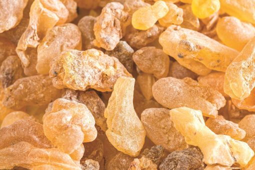 A close-up image of crystallized pieces of Natural Frankincense Essential Oil 100% Pure - 15ml, one of the best essential oils, displaying a range of amber colors and irregular shapes.