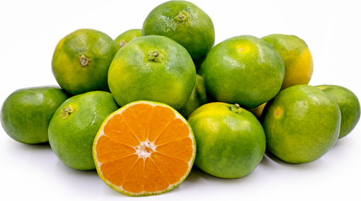 A pile of fresh green oranges with one cut in half, showcasing the orange interior and the aromatic essence reminiscent of Green Mandarin Unique Essential Oil 15ml.