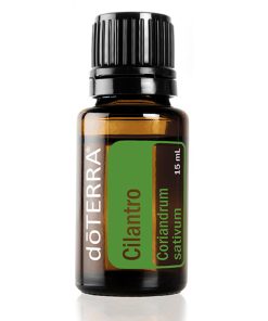A small, amber glass bottle labeled "Cilantro (Coriandrum Sativum) Pure Essential Oil - 15ml" in a simple design, indicating a 15 ml pure essential oil container, presented against a white background