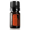 A small, 5ml amber glass bottle of Cinnamon Bark Essential Oil Antibacterial with a black cap, labeled clearly with the product name and botanical name 'Cinnamomum zeylanicum'.