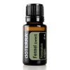 A small bottle of Organic Fennel (Sweet) Seed Essential Oil - 15 ml, labeled clearly with the product name and botanical name 'foeniculum vulgare' on a white background.