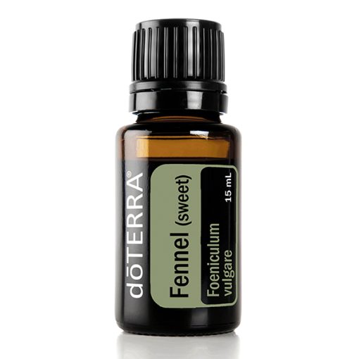 A small bottle of Organic Fennel (Sweet) Seed Essential Oil - 15 ml, labeled clearly with the product name and botanical name 'foeniculum vulgare' on a white background.