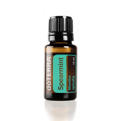 A small bottle of Spearmint Essential Oil, Premium Quality Oil - 15 ml isolated on a white background. The label displays the product name and volume, 15 ml.