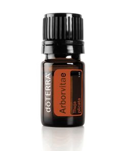 A small brown glass 5ml bottle of Arborvitae Essential Oil 5ml with a black cap, labeled in white text, isolated on a white background.