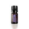 A small bottle of doterra console essential oil blend, featuring a dark amber glass container with a black cap and a purple label. The bottle contains rose oil and is set against a white background.