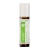 A bottle of Earthsun Essentials steady grounding blend essential oil in a 10 ml roll-on applicator, featuring a green label with floral decorations.