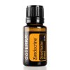 A small bottle of Earthsun Essentials Zendocrine essential oil, labeled as a detoxification blend, with a 15 ml capacity. The bottle has a black cap and is set against a white background.