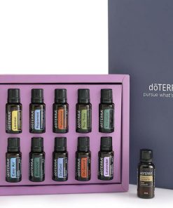 An open Home Essentials Starter Pack Oil Kit - Pack Of 10 Bottles - 15ml Each containing multiple labeled 15ml bottles with a single bottle standing outside against a grey background. The box is purple, and the interior is lined in the