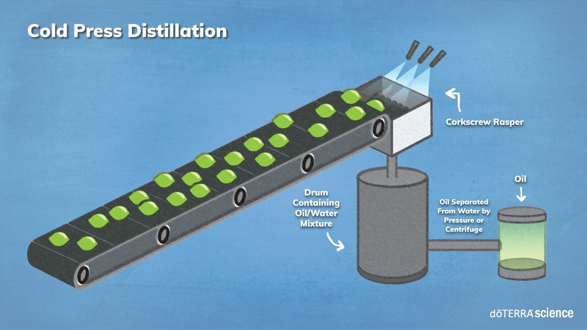 Illustration of cold press distillation process showing a drum containing oil/water mixture leading to a corkscrew rasper device, with separated essential oils collecting in a jar labeled "oil.