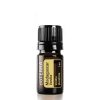 A small, dark brown glass bottle of doterra essential oil labeled "Madagascar vanilla" in a 5ml size, displayed against a white background, is one of the best essential oils available.