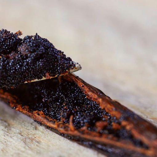 Close-up image of a Madagascar Vanilla Essential Oil - 5ml split open, showing numerous tiny black seeds inside. The pod and seeds are set against a blurred wooden background.