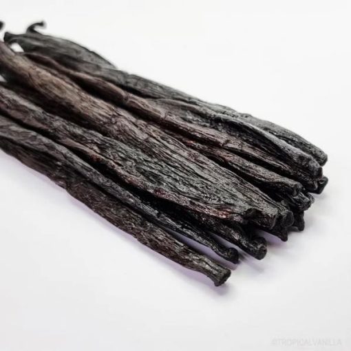 A close-up image of several dark, dried Madagascar Vanilla Essential Oil - 5ml beans arranged neatly on a white background, highlighting their wrinkled texture and rich color.