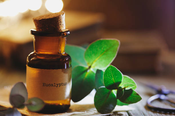 A small amber glass bottle labeled "eucalyptus essential oils" with a cork stopper, placed beside fresh eucalyptus leaves, illuminated by warm light.